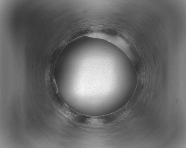 X0000072530221200607290232