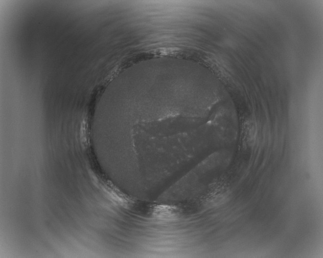 X0000072530222200607290232