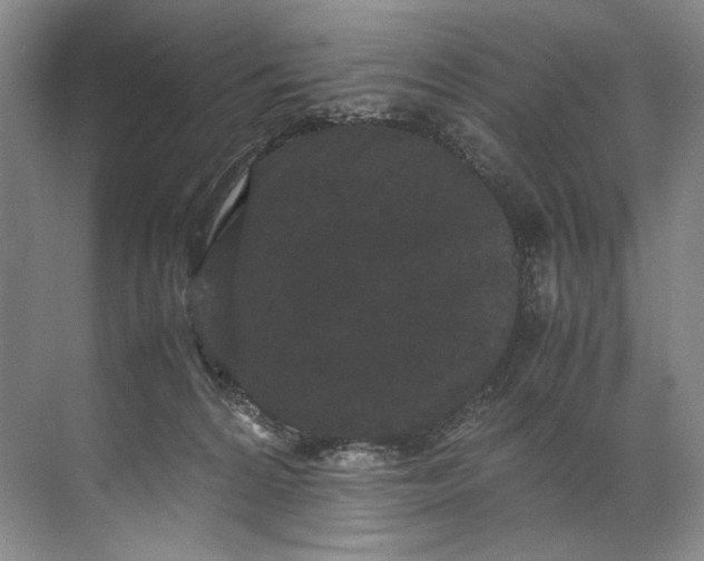 X0000072530224200607290232