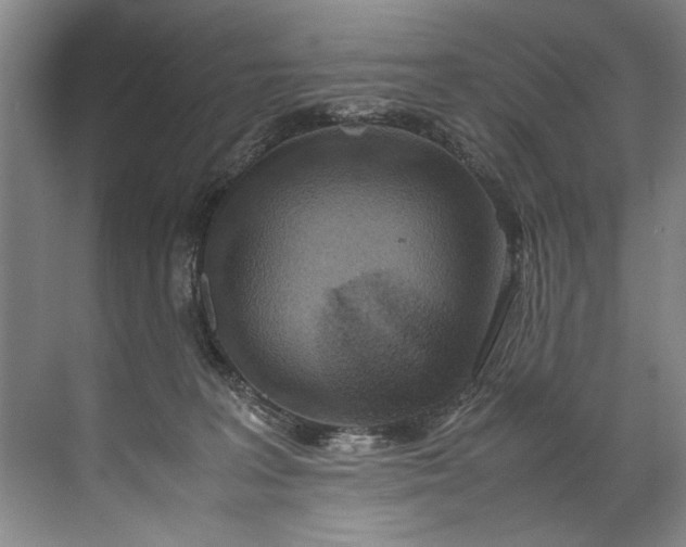 X0000072530227200607290232