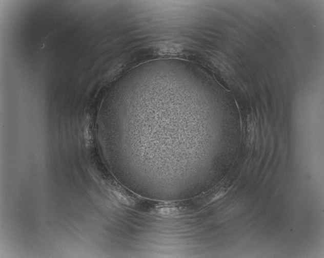 X0000072530228200607290232