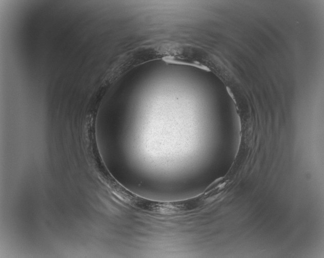 X0000072530229200607290232