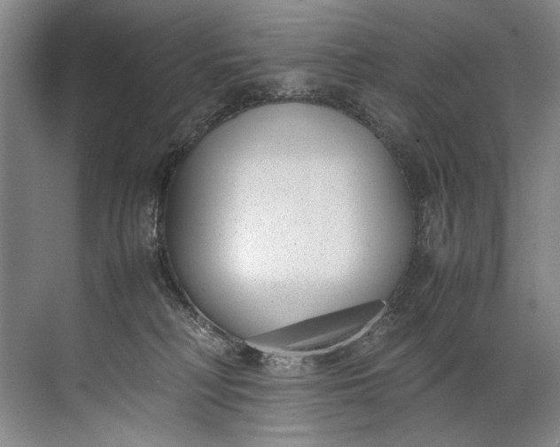 X0000072530230200607290232