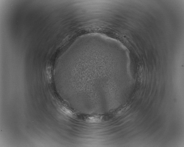 X0000072530232200607290232