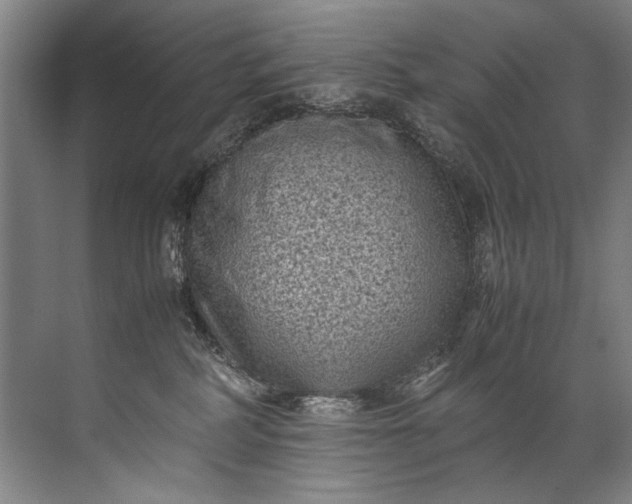 X0000072530234200607290232