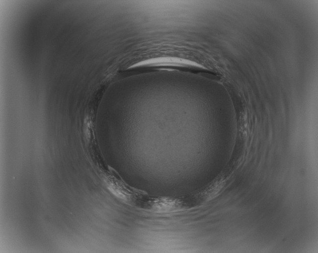 X0000072530235200607290232