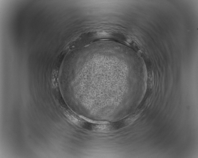 X0000072530237200607290232