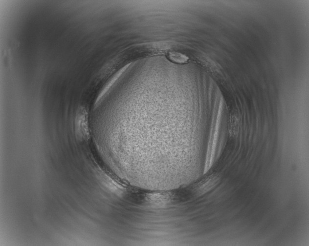 X0000072530238200607290232