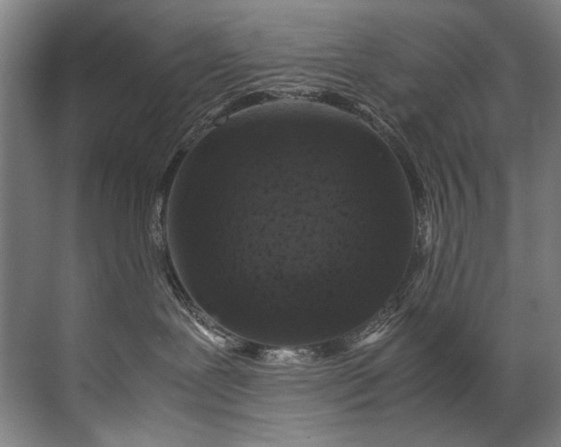 X0000072530239200607290232