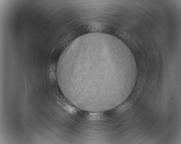 X0000072530240200607290232