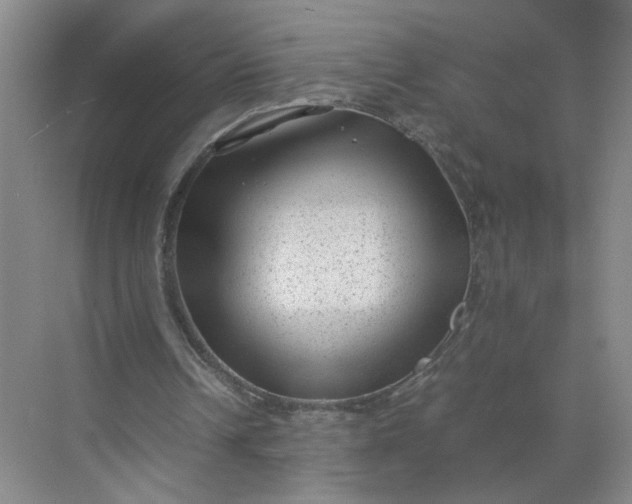 X0000072530242200607290231