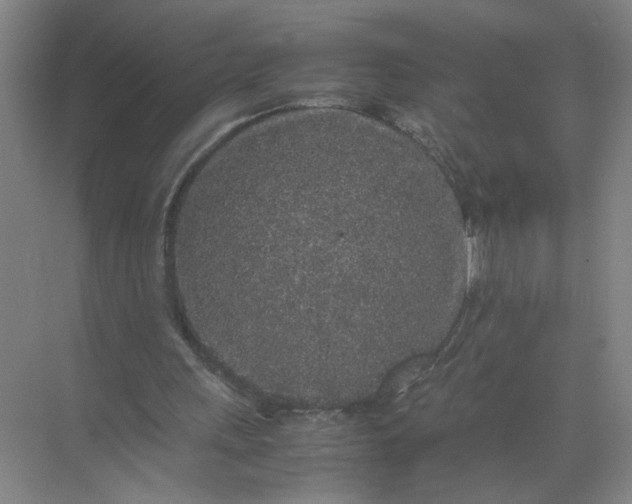 X0000072530243200607290231