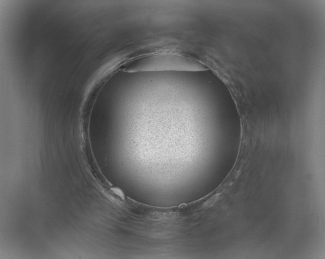 X0000072530245200607290231