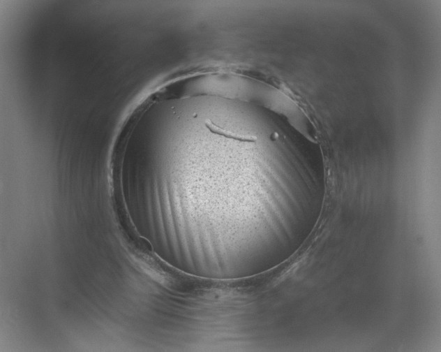 X0000072530246200607290231