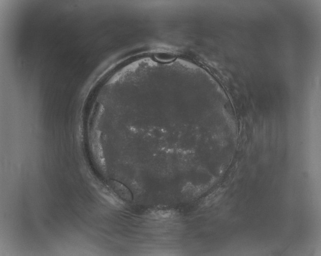 X0000072530247200607290231