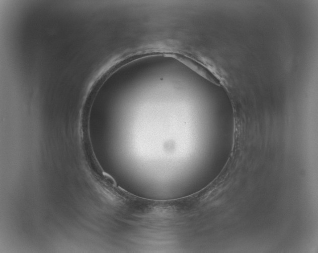 X0000072530248200607290231