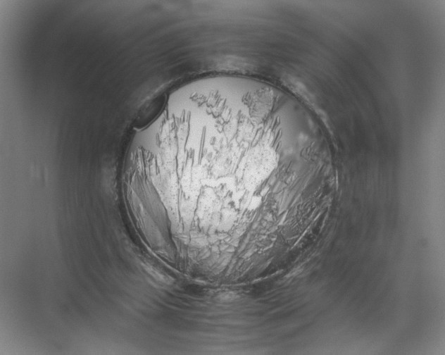 X0000072530249200607290231