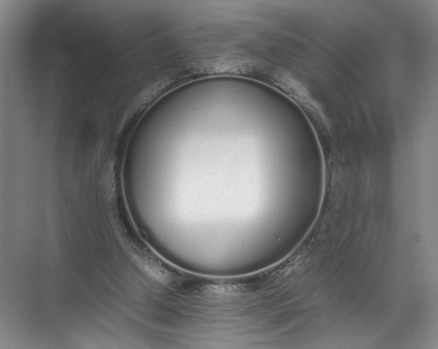 X0000072530250200607290232