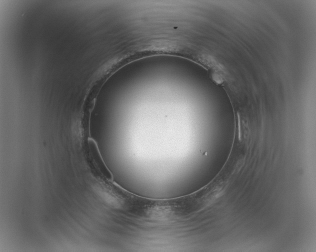 X0000072530252200607290232