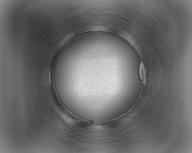 X0000072530253200607290232