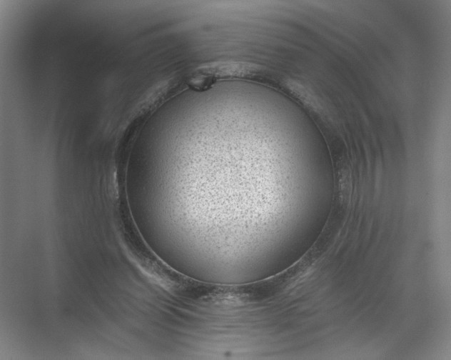 X0000072530254200607290232