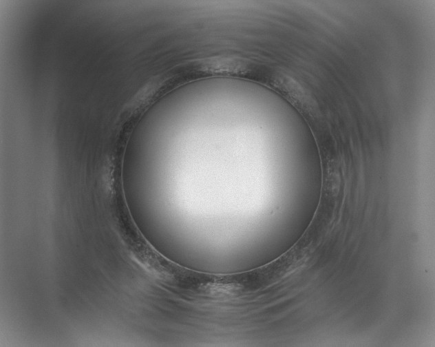 X0000072530255200607290232