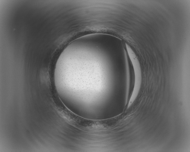 X0000072530256200607290232