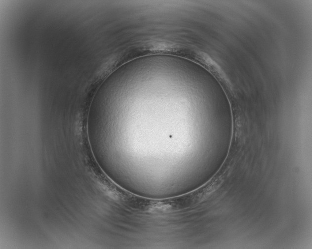 X0000072530257200607290232