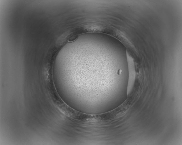 X0000072530259200607290232