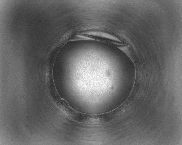 X0000072530260200607290232