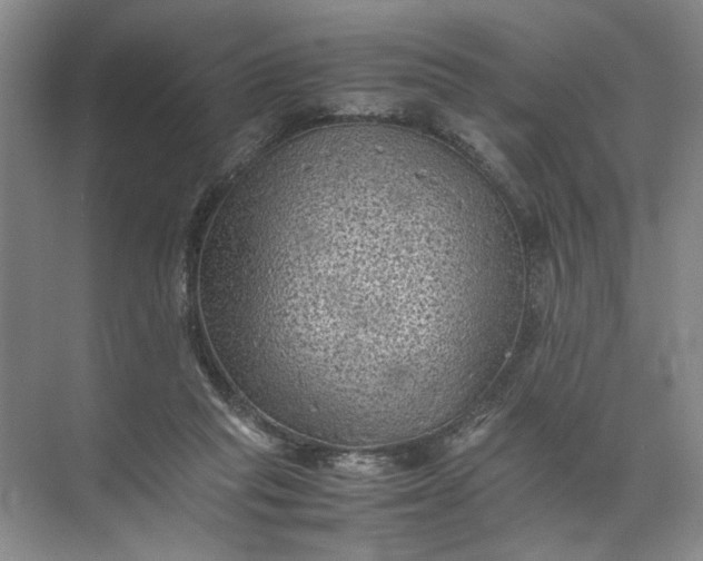 X0000072530261200607290232