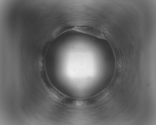 X0000072530264200607290232