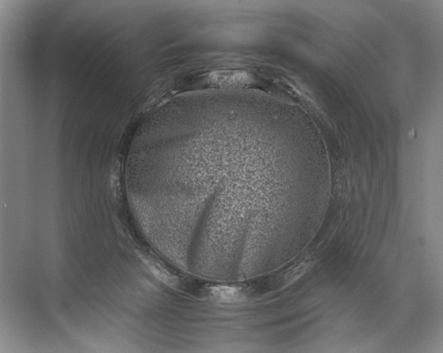 X0000072530265200607290232