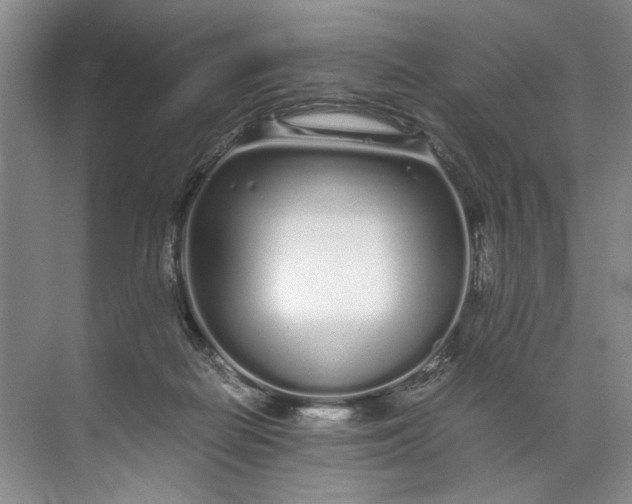 X0000072530266200607290232