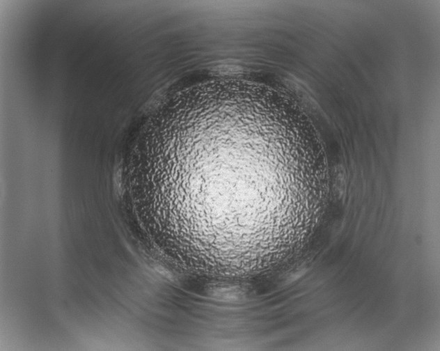 X0000072530267200607290232