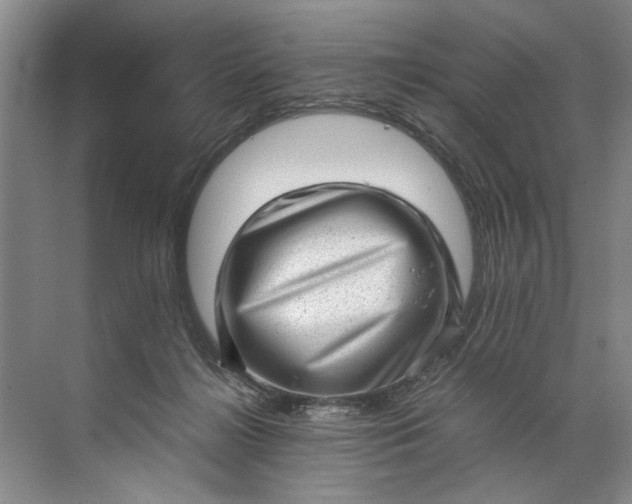 X0000072530268200607290232