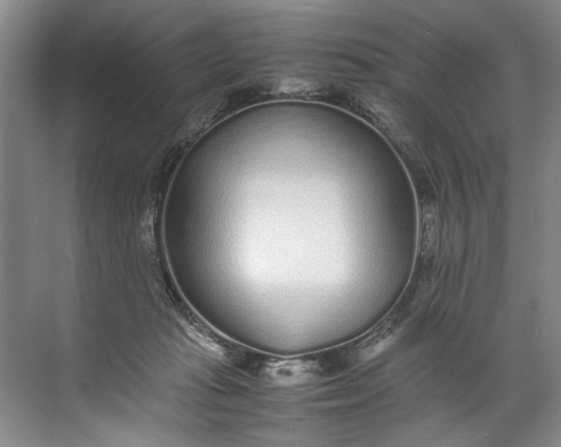 X0000072530269200607290232