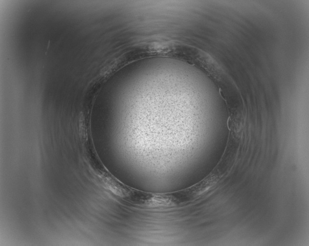 X0000072530270200607290232