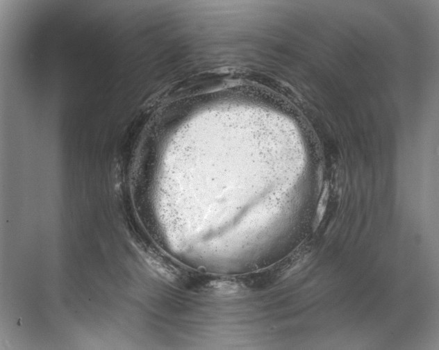 X0000072530272200607290232