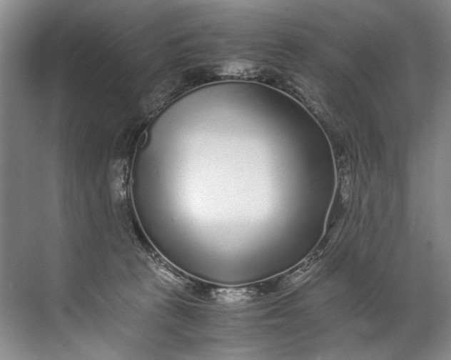 X0000072530273200607290232