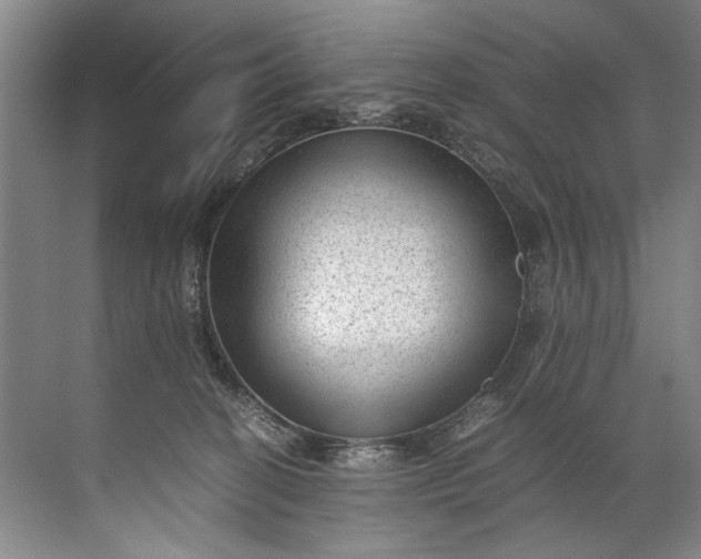 X0000072530274200607290232