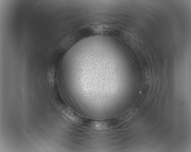 X0000072530275200607290232