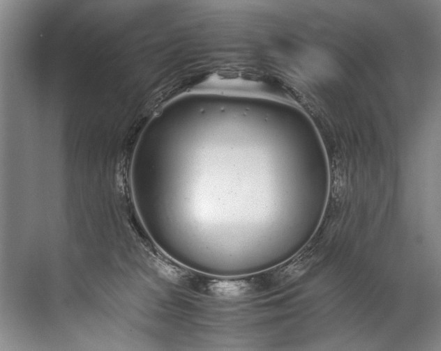 X0000072530277200607290232