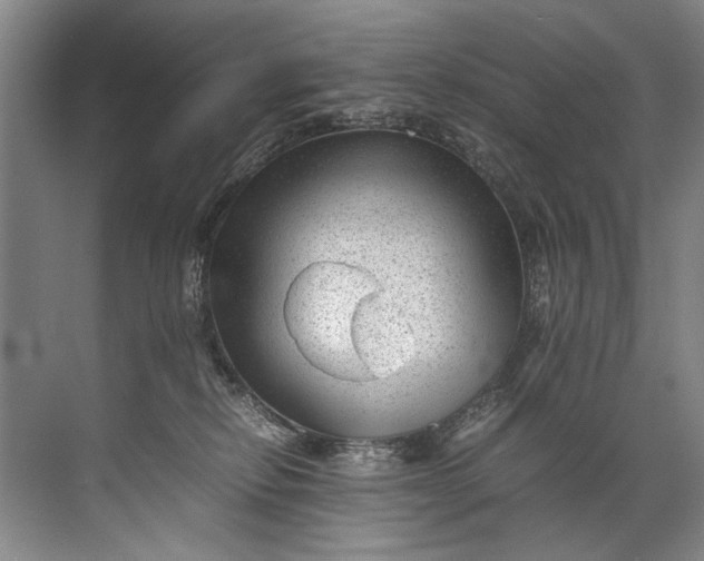 X0000072530278200607290232