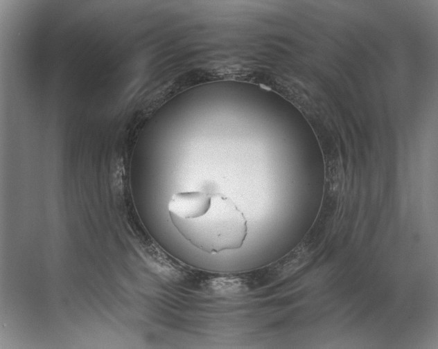 X0000072530279200607290232