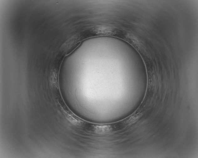 X0000072530281200607290232