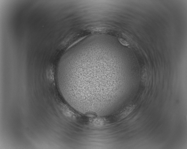 X0000072530282200607290232