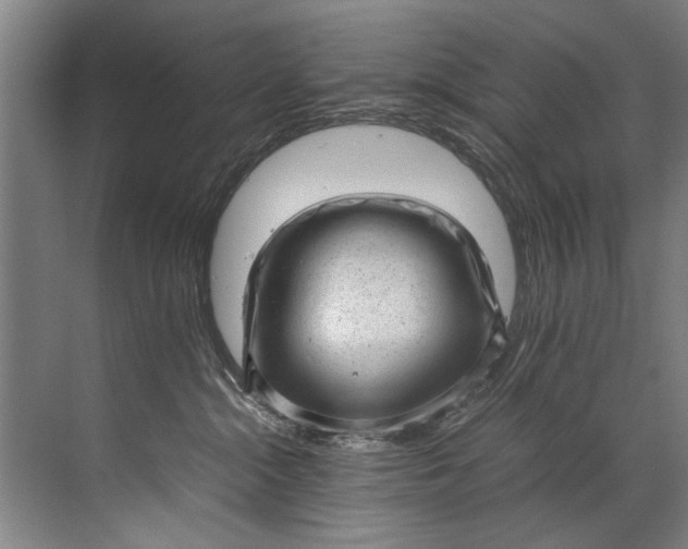 X0000072530284200607290232