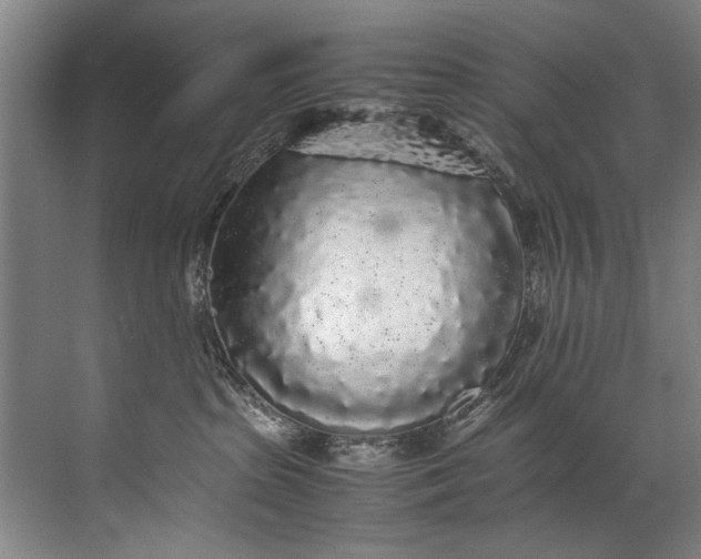 X0000072530285200607290232