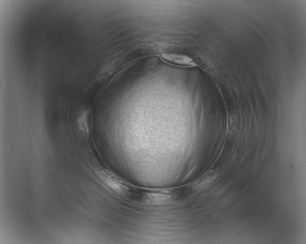 X0000072530286200607290232